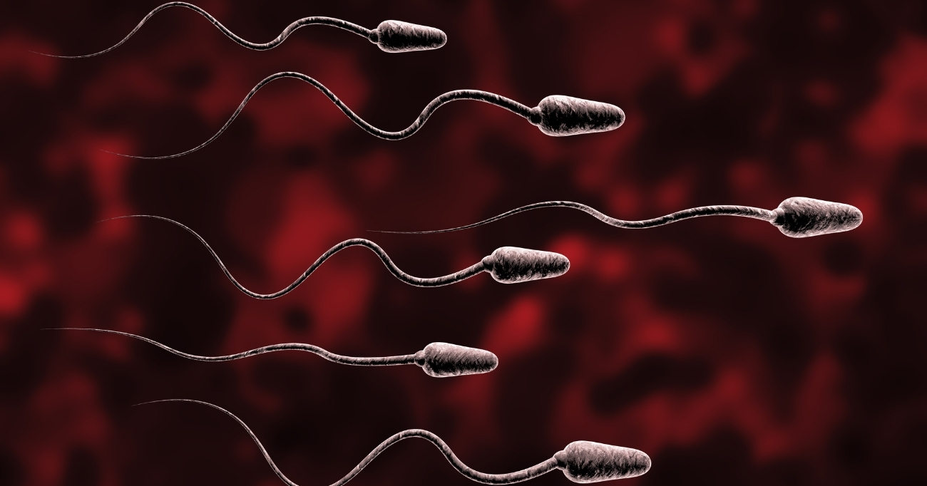 low-sperm-count