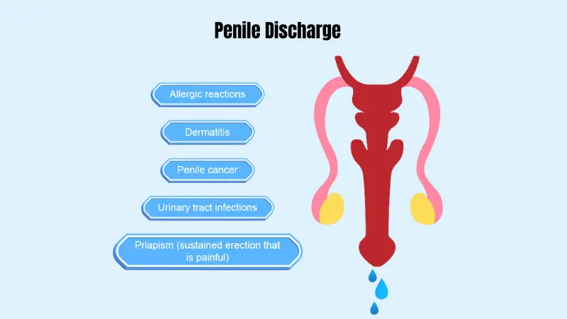 Penile Discharge